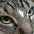 Marvin_J